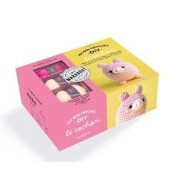 MA BOX CROCHET DIY LE COCHON APILY