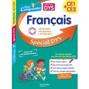 POUR COMPRENDRE DYS FRANCAIS CE1 - CE2