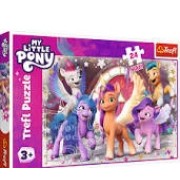 PUZZLES 24 MAXI HASBRO, MY LITTLE PONY 14355