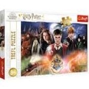 PUZZLES  300 THE SECRET HARRY POTTER 23001