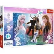 PUZZLES  300  MAGIC  FROZEN 2  23006