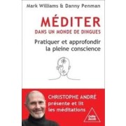 MEDITER DANS UN MONDE DE DINGUES