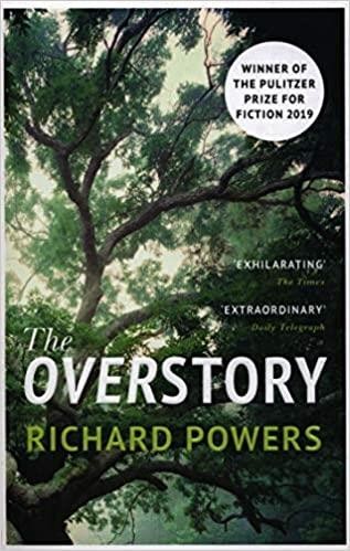  THE OVERSTORY 