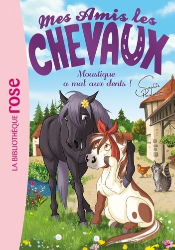  Mes amis les chevaux Tome 13  