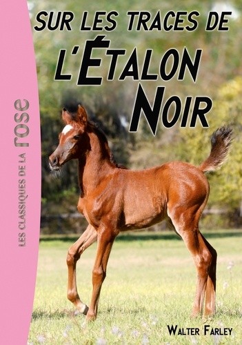  L'Etalon Noir Tome 7  