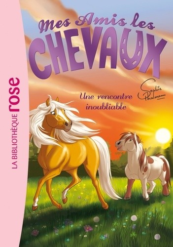 Mes amis les chevaux Tome 6  