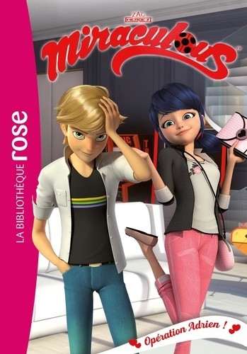  Miraculous Tome 26  