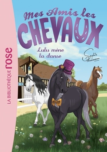  Mes amis les chevaux Tome 22  
