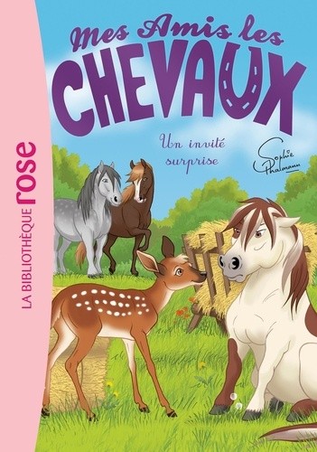  Mes amis les chevaux Tome 28  