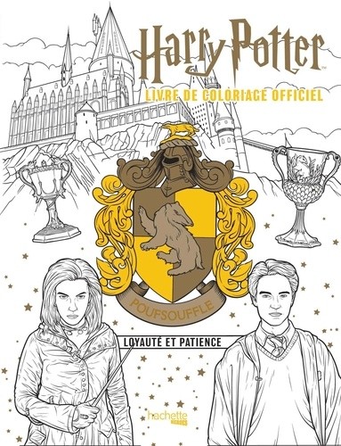  Harry Potter Poufsouffle  