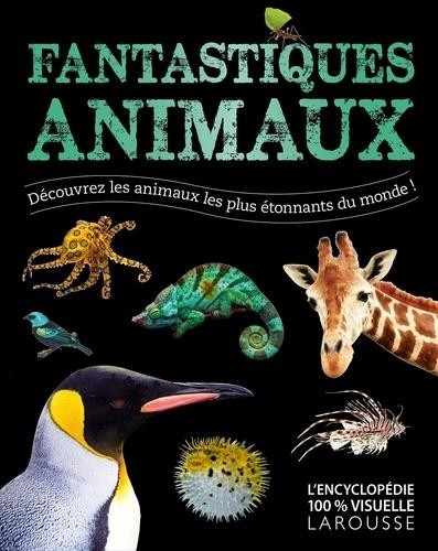  Fantastiques animaux ; découvrez les animaux les plus étonnantes du monde ! 