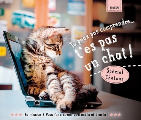  Tu peux pas comprendre, t'es pas un chat ! - Spécial chatons  