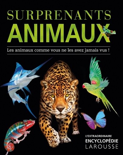  Surprenants animaux - Les animaux comme vous ne les avez jamais vus !  
