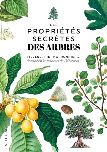  Les propriétés secrètes des arbres - Tilleul, pin, maronnier... découvrez les pouvoirs de 150 arbres !  