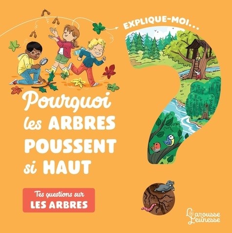  Explique-moi... Pourquoi les arbres poussent si haut ? - Tes questions sur les arbres  