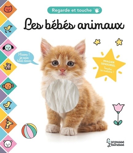  Les bébés animaux  