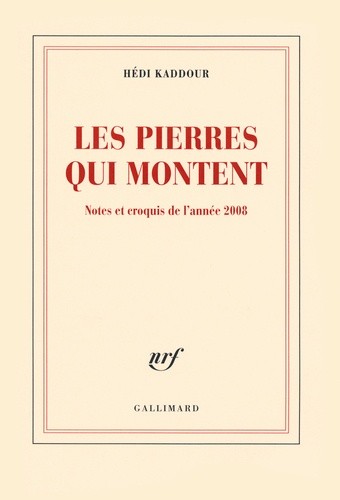  Les pierres qui montent - Notes et croquis de l'année 2008  