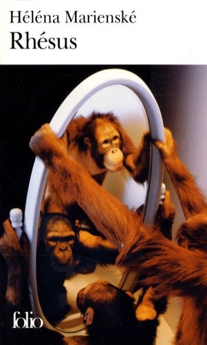  Rhésus  