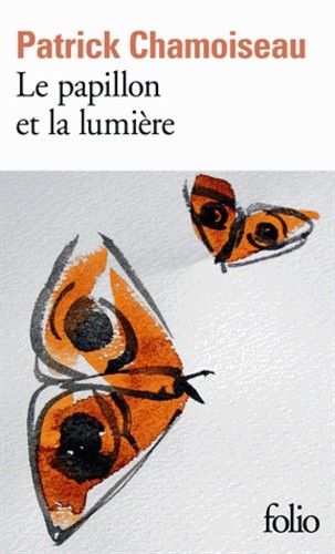  Le papillon et la lumière  