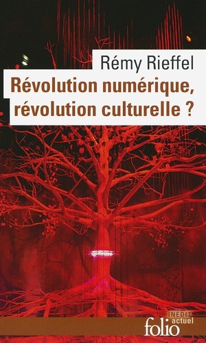  Révolution numérique, révolution culturelle ?  