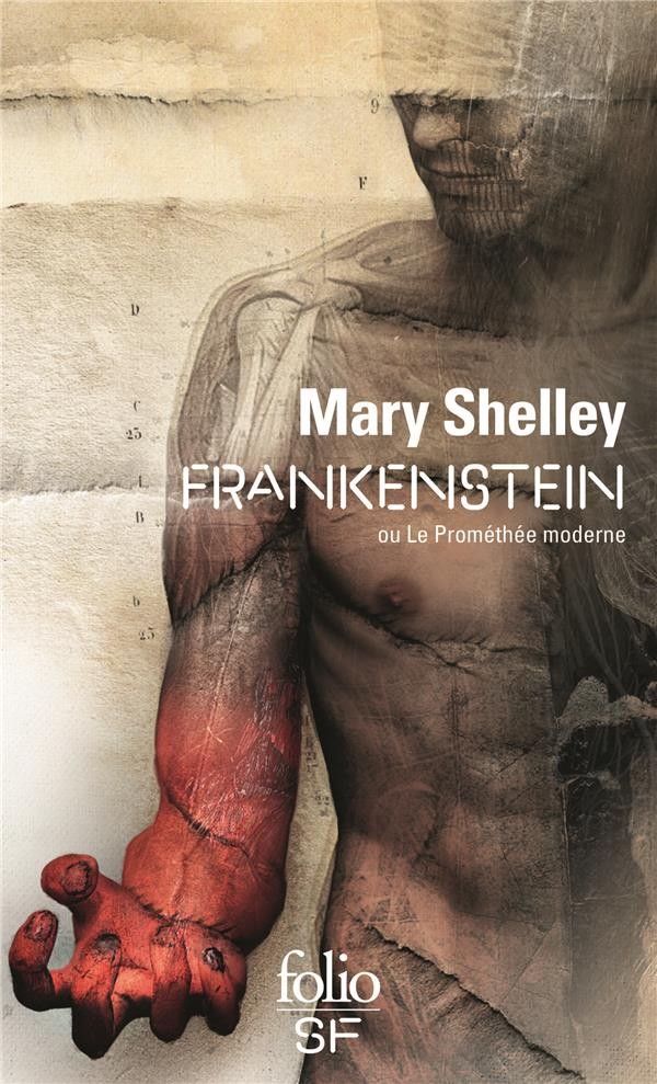  Frankenstein ou le Prométhée moderne 