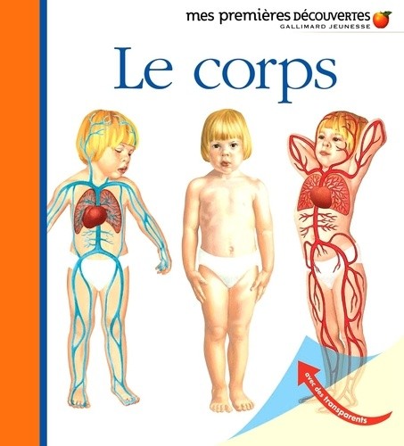  Le corps  