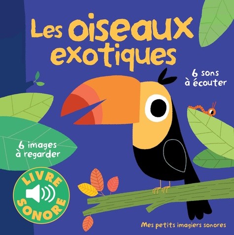  Les oiseaux exotiques  