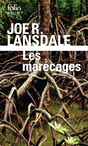  Les marécages  