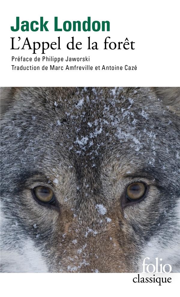  L'appel de la forêt  