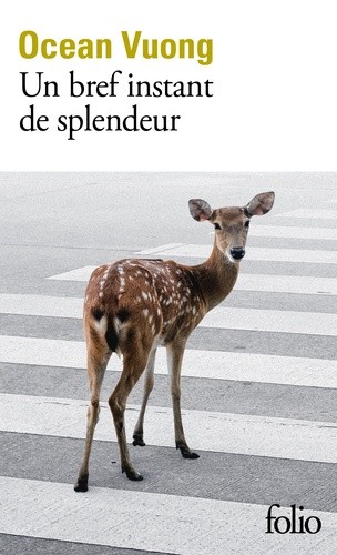  Un bref instant de splendeur  