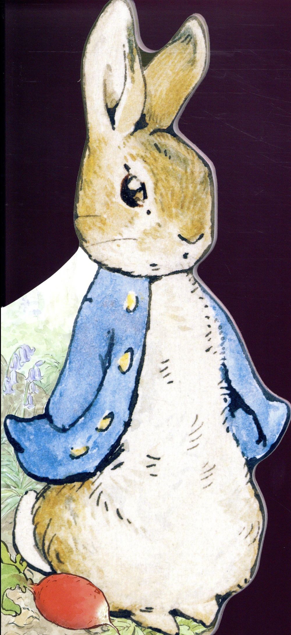  Bonjour, pierre lapin ! 