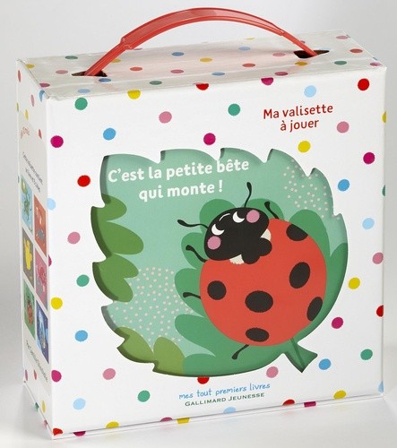  C'est la petite bête qui monte ! - Ma valisette à jouer, avec 9 cubes  