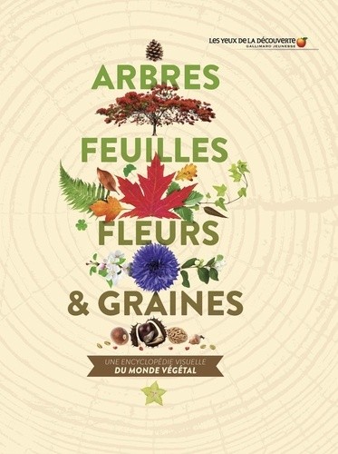  Arbres, feuilles, fleurs et graines - Une encyclopédie visuelle du monde végétal  
