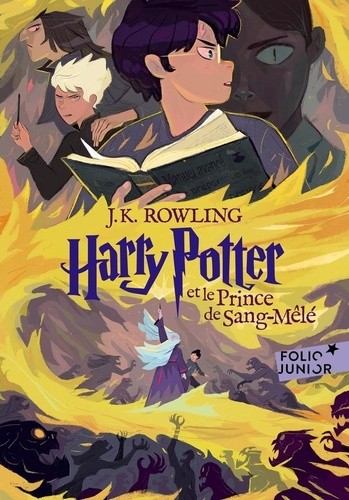  Harry Potter Tome 6  