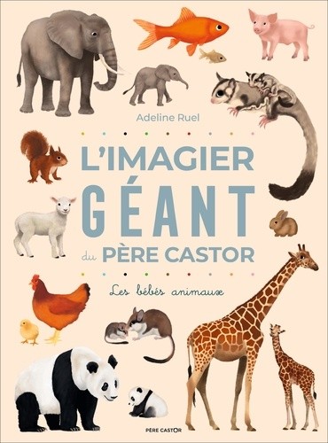  L'imagier géant du Père Castor - Les bébés animaux  