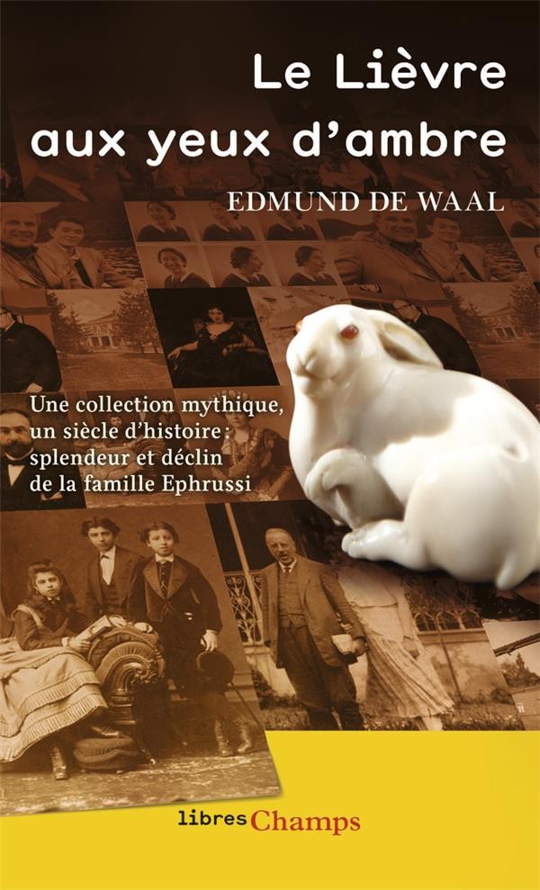  Le lièvre aux yeux d'ambre 