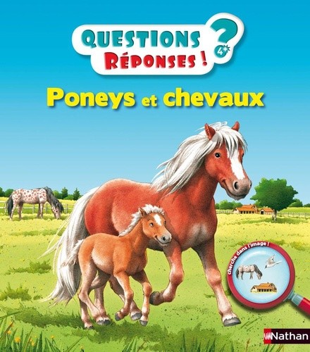  Poneys et chevaux  