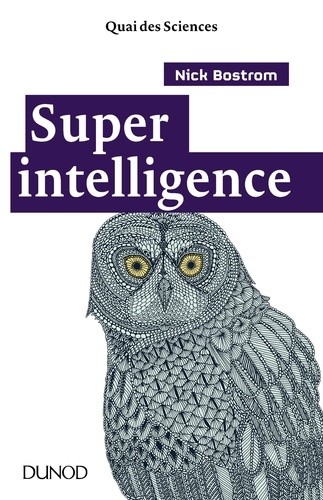  Superintelligence  