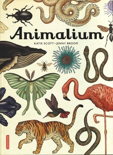  Animalium  