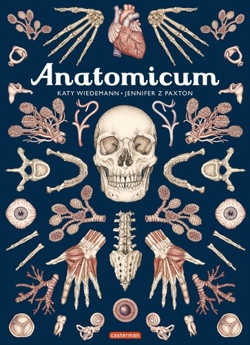 Anatomicum  