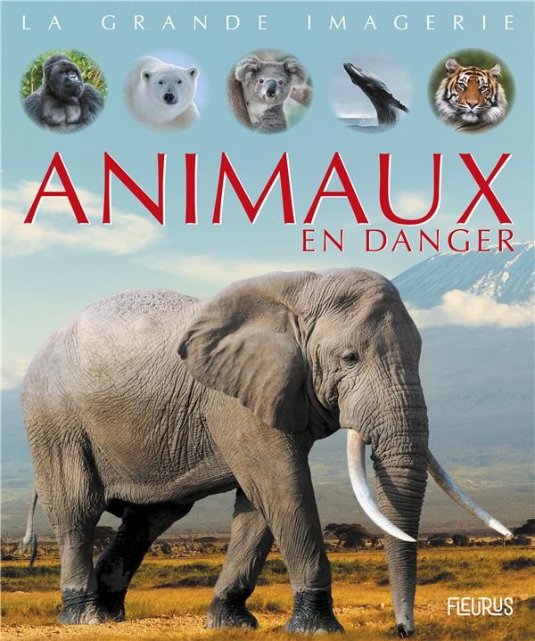  Animaux en danger 