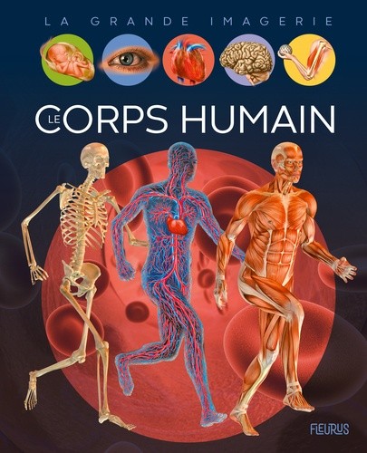  Le corps  