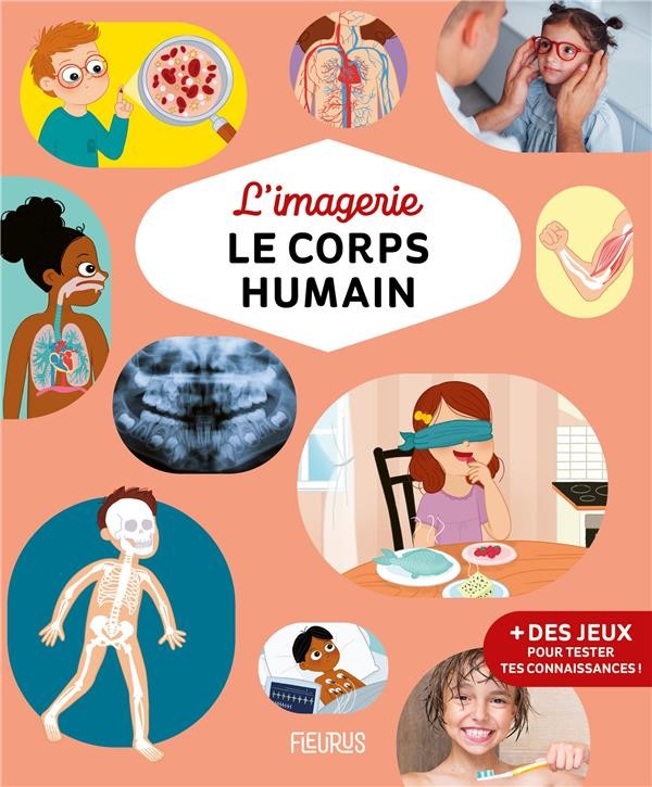  L'imagerie : le corps humain 