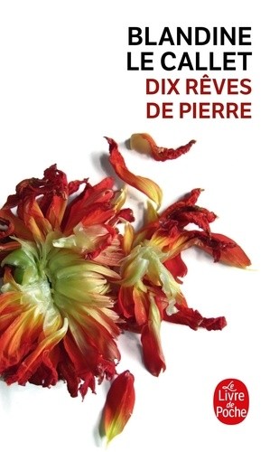  Dix rêves de pierre  