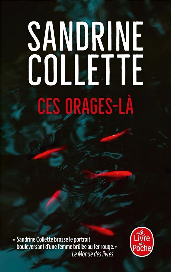  Ces orages-là 