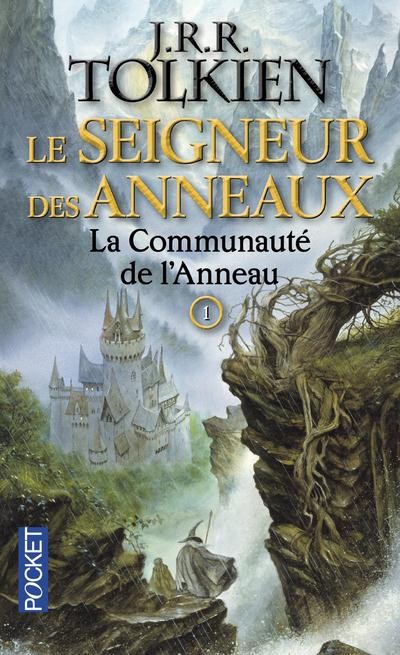 SEIGNEUR ANNEAUX T1 COMMUNAUTE