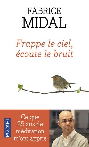  Frappe le ciel, écoute le bruit - Ce que vingt-cinq ans de méditation m'ont appris  
