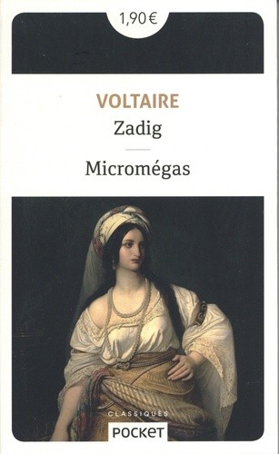  Zadig - Suivi de Micromégas  