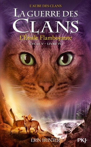  La guerre des clans : L'aube des clans (Cycle V) Tome 4  
