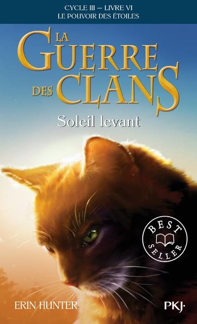  La guerre des clans - cycle 3 ; le pouvoir des étoiles t.6 ; soleil levant 